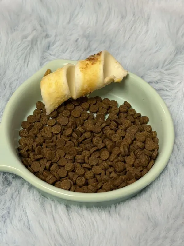 Best Dog Food for Sensitive Stomach and Diarrhea