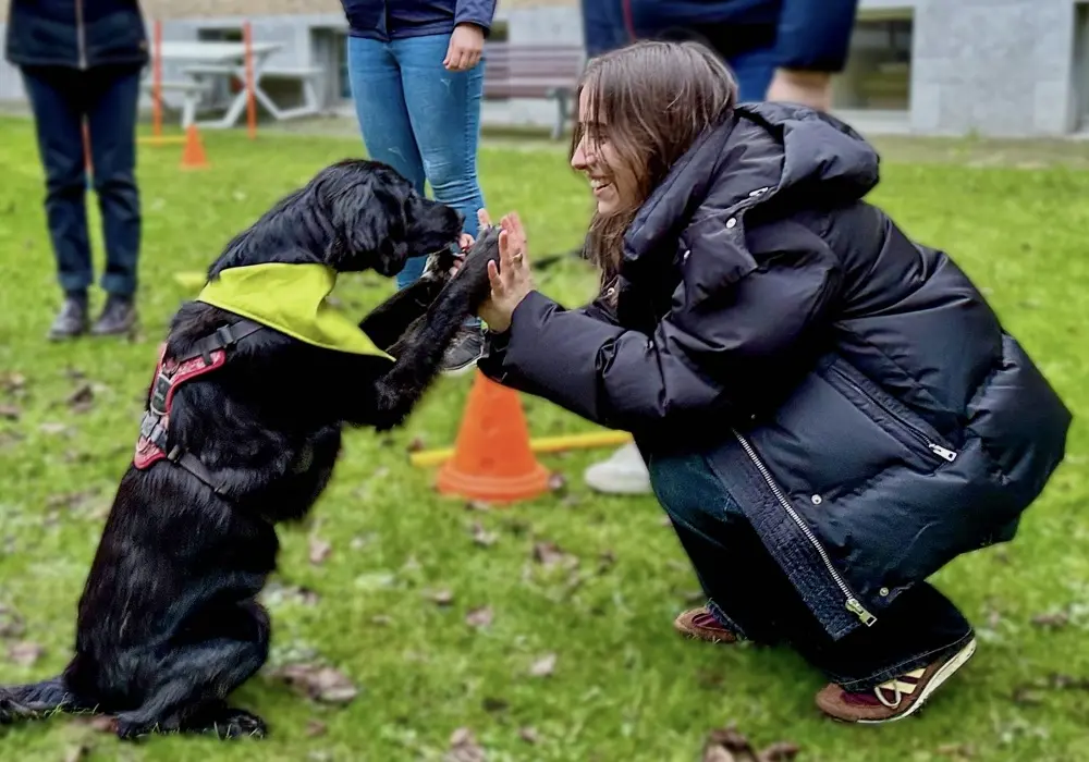 Dog For A Happy Life