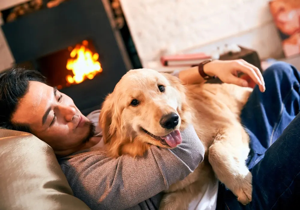 Dog Guarding Owner Behavior